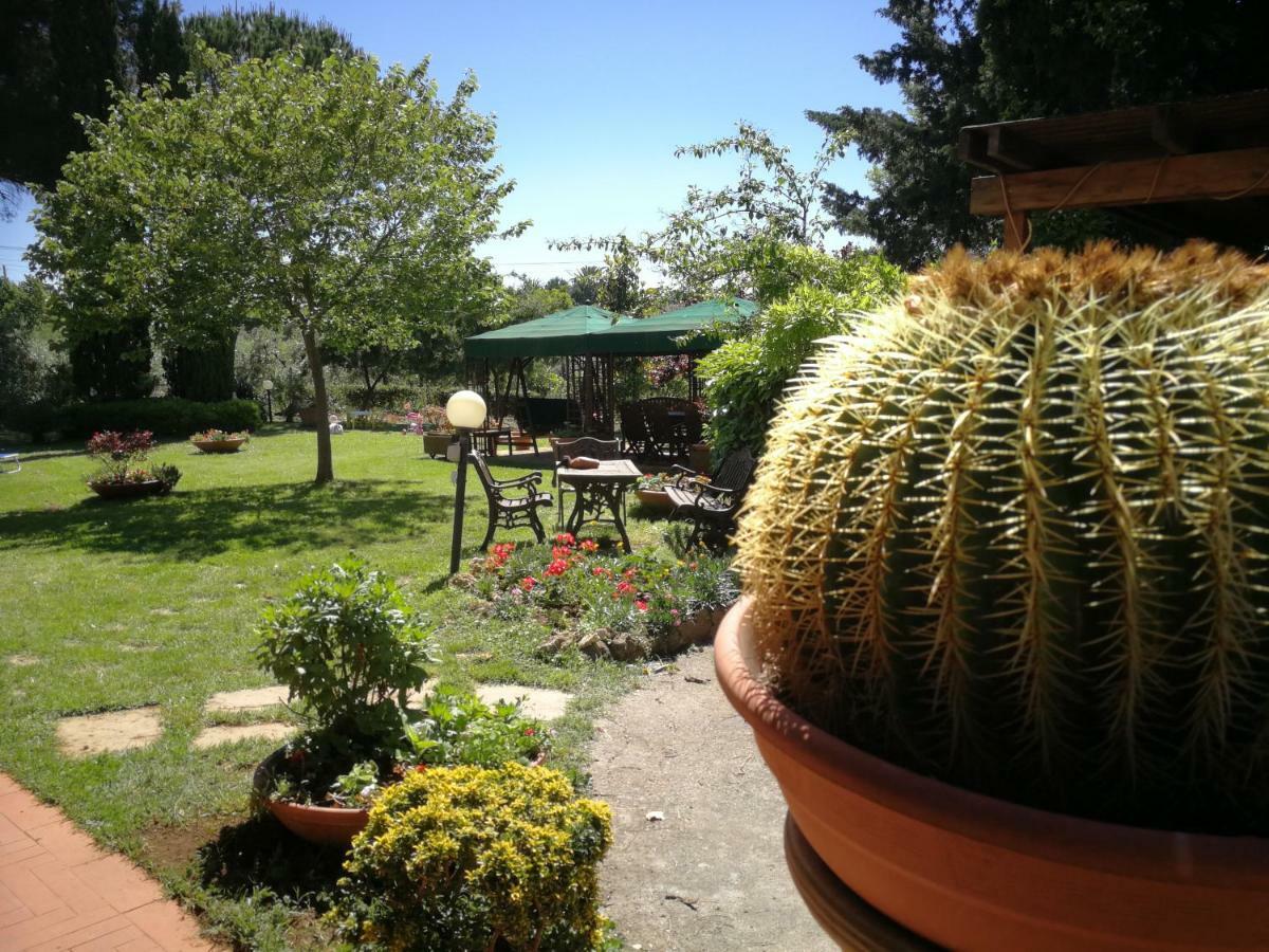 Vacanze Verde Mare - Beggi Casale Marittimo Exteriör bild